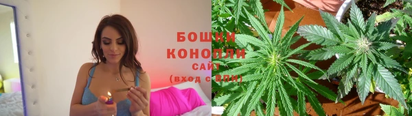 СК Арсеньев