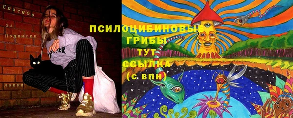 амф Аркадак