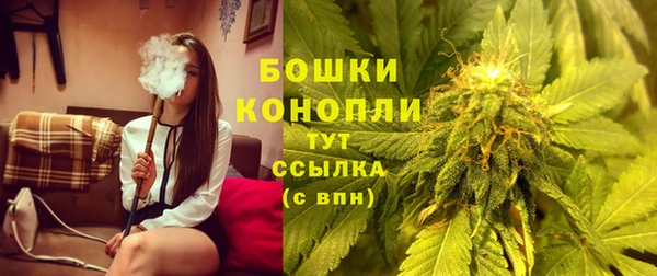 СК Арсеньев